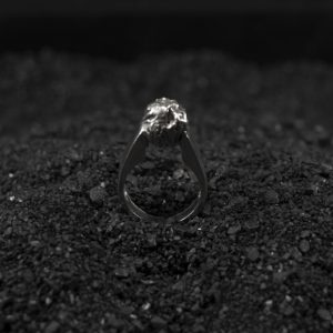 PRINCIPIUM